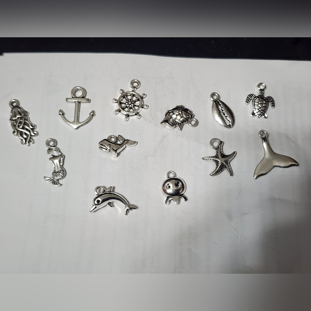 Charms Beads Jewelry Making Bead Soup Crafts DIY Beach BC142‎